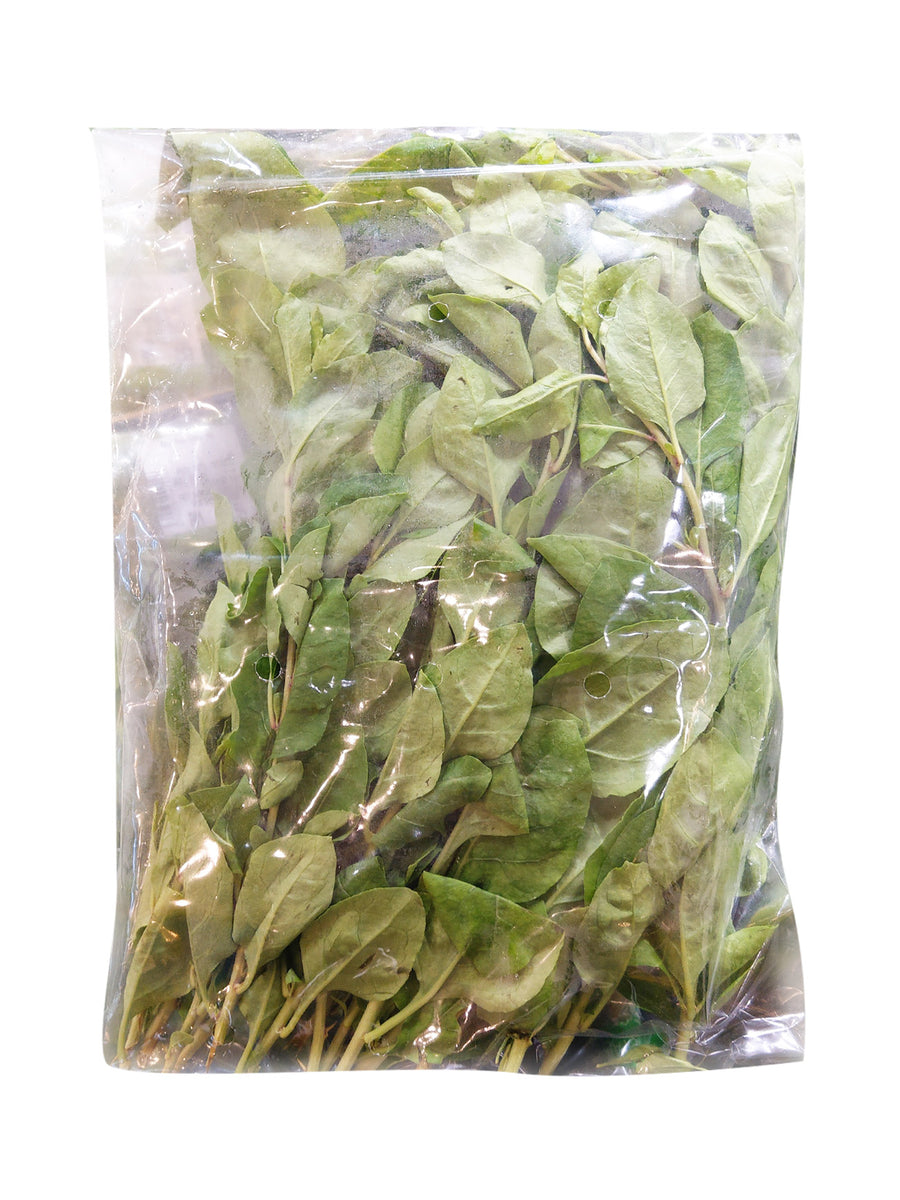 DAUN SELASIH +/-100G – Village Grocer - Tropicana Gardens Mall